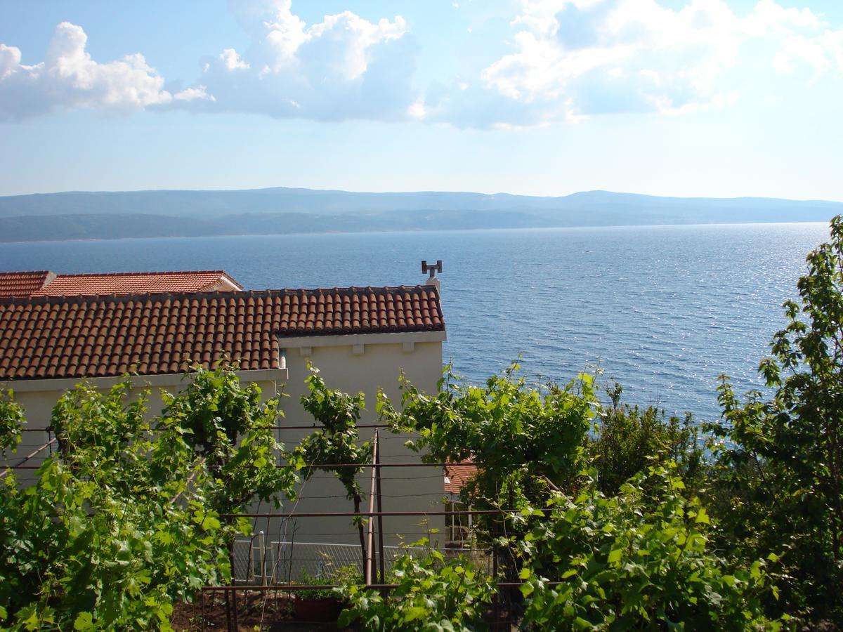 Apartmani Stanic Rosa Stanici Exteriör bild